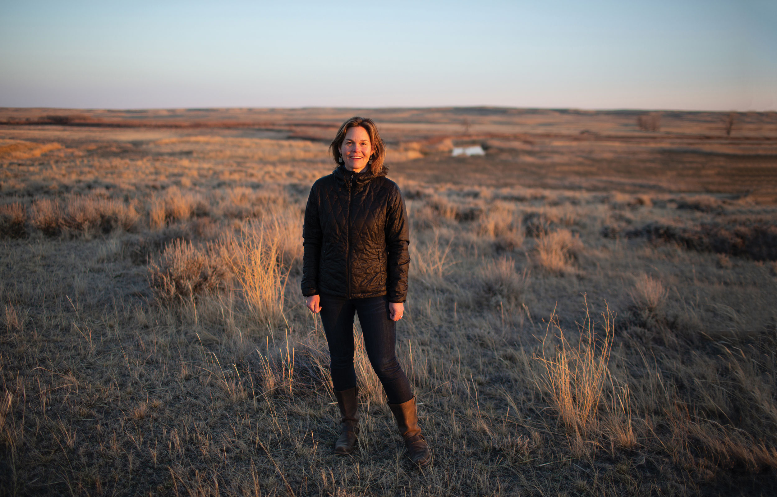 A Wild Idea Dartmouth Alumni Magazine