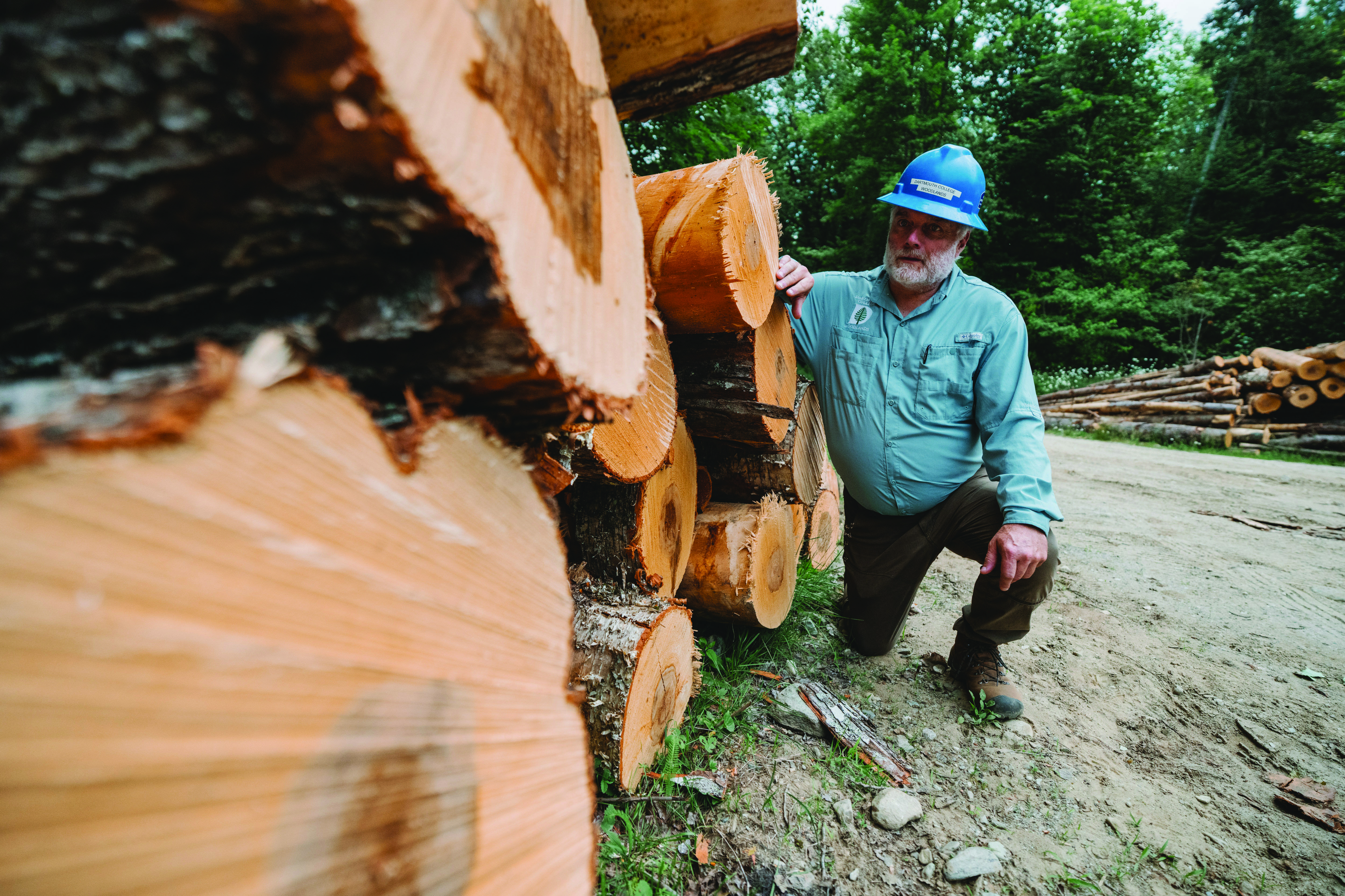 Man with lumber in the forest