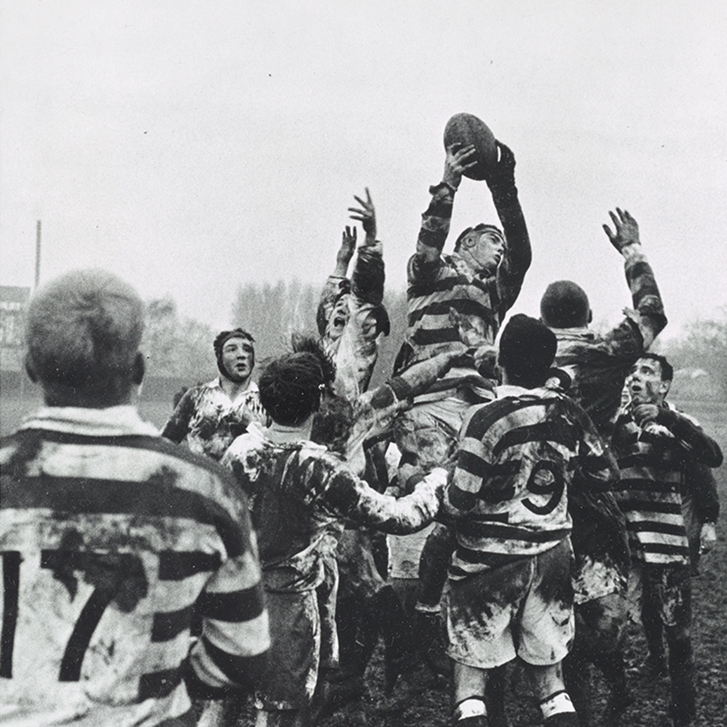 Rugby players