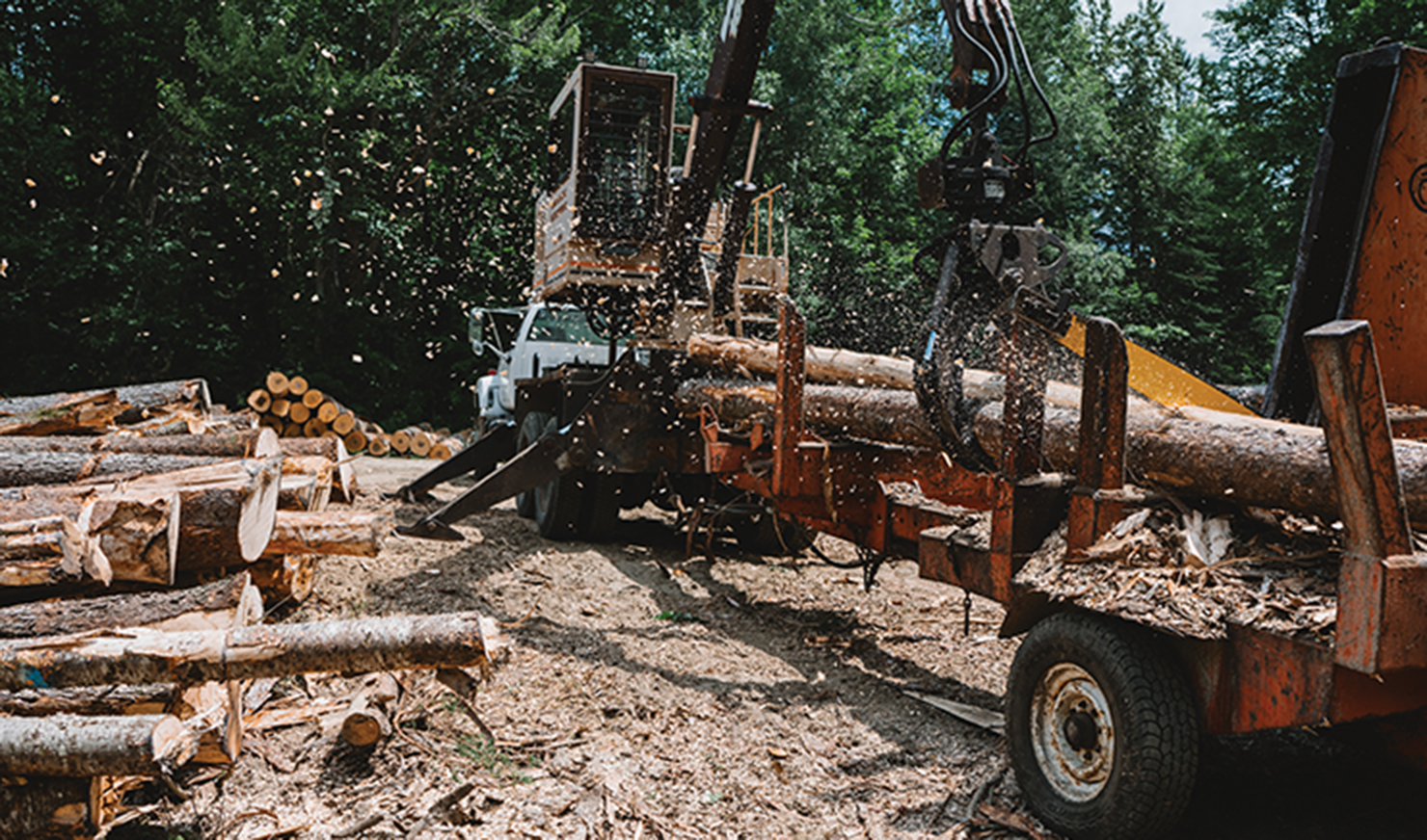 logging truck in the forest