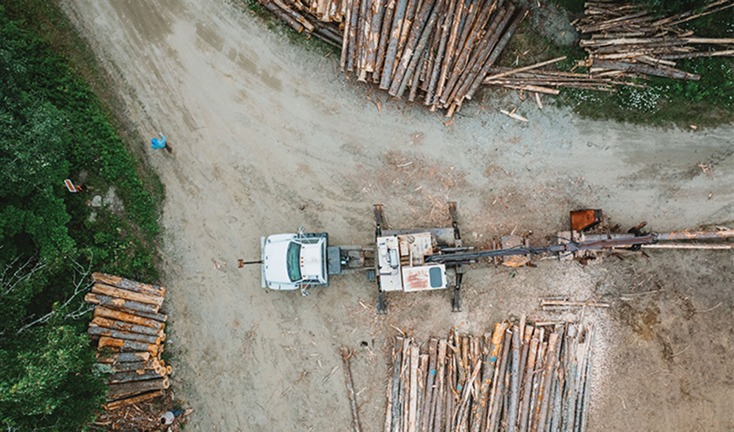 logging truck from above