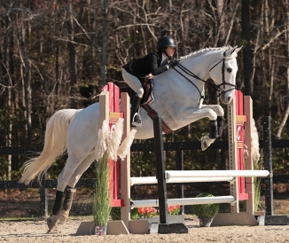 Women on horse jumping over fence in compeition