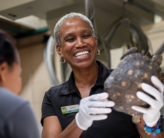 Woman wearing gloves, holding tortoise