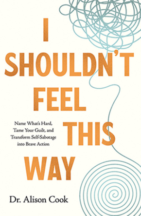 I Shouldn't Feel This Way book cover
