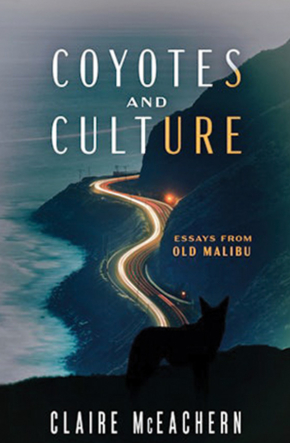 Coyotes and Culture