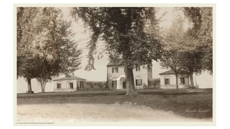 Buildings and trees