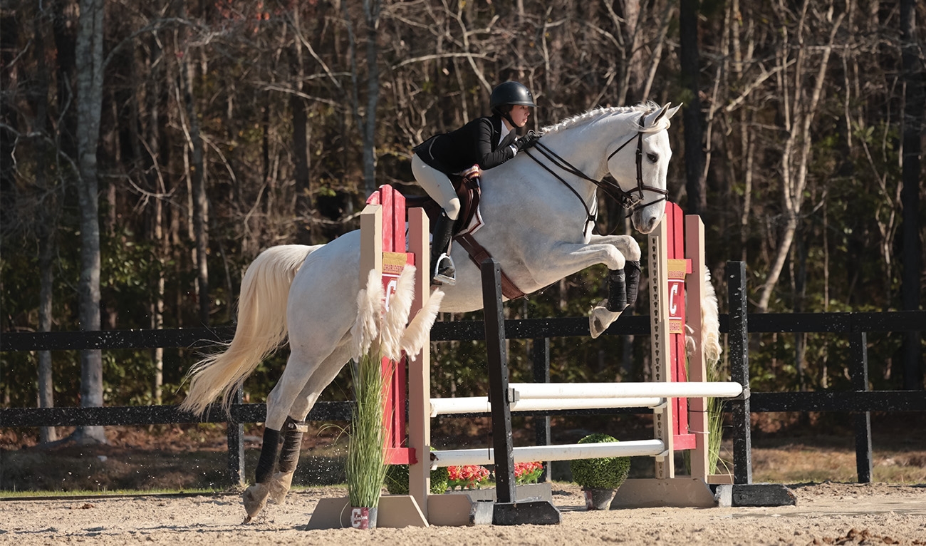 Women on horse jumping over fence in compeition