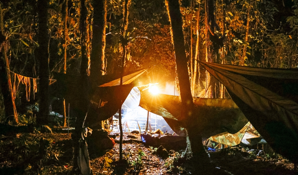 Hammock with tarp in woods