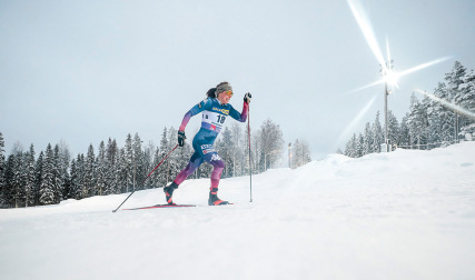 Skier with trees in background