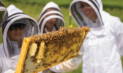 Three people wearing beekeeping suits holding up bee hive frame