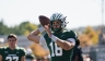 Quarterback throwing